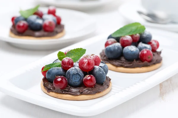 Mini cakes with chocolate cream and fresh berries on the plate — Stock Photo, Image