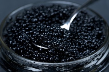 Spoon of black caviar in a glass jar, selective focus, macro