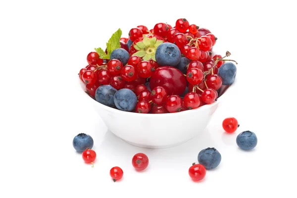 Assorted fresh seasonal berries in a bowl isolated — Stock Photo, Image