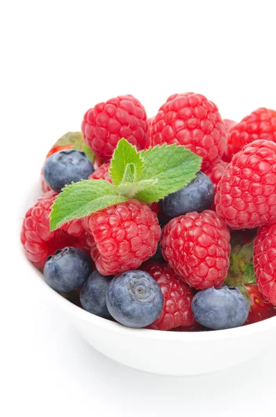 Close-up de tigela com frutas frescas suculentas e hortelã, isolado — Fotografia de Stock