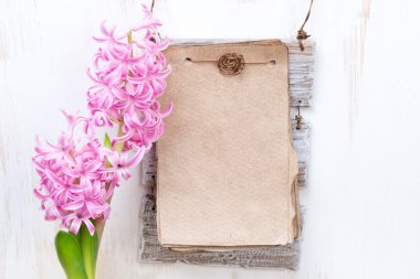 pembe sümbül ve kağıt, Beyaz ahşap zemin üzerinde metin