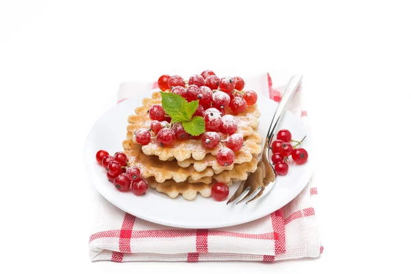 Stack of belgian waffles with red currants on a plate isolated — Stock Photo, Image