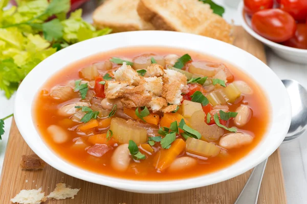 Vegetable minestrone with croutons on a plate, close-up — Stock Photo, Image