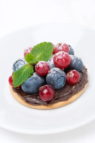 Міні торт з шоколадним кремом і ягодами, крупним планом — стокове фото