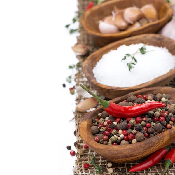 Hot pepper, sea salt and spices in wooden bowls, isolated — Stock Photo, Image