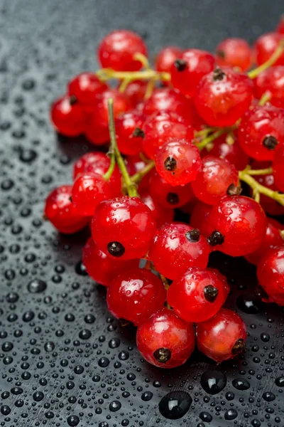 Ribes rosso con gocce d'acqua su fondo nero — Foto Stock