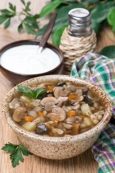 ボウルに、垂直にパール大麦とキノコのスープ — ストック写真
