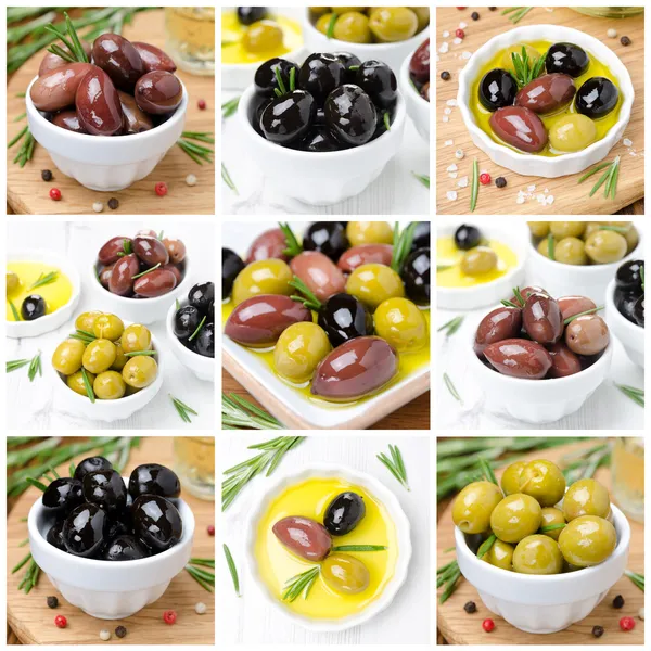 Verschillende soorten olijven, specerijen en olijfolie, collage — Stockfoto