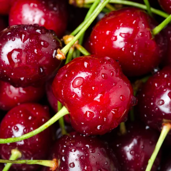 Fresh cherry close-up — Stock Photo, Image