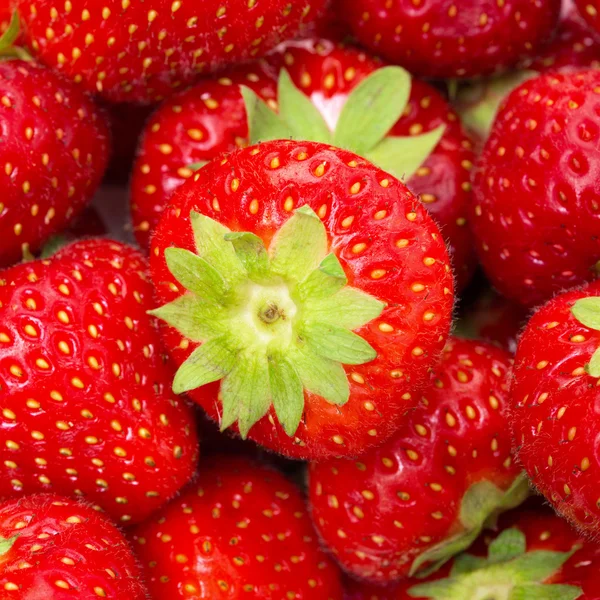 Fresh juicy strawberries, closeup — Stock Photo, Image