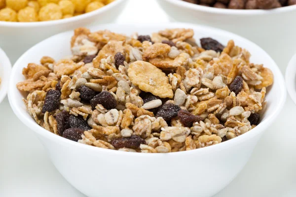 Granola aux graines et raisins secs, gros plan — Photo