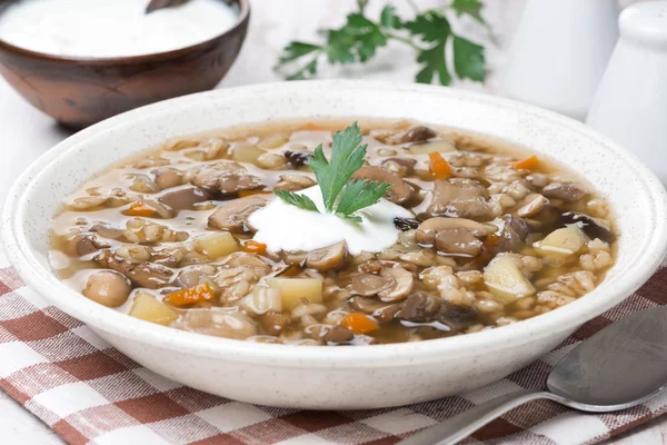 キノコのスープ野菜とパール大麦、クローズ アップ — ストック写真