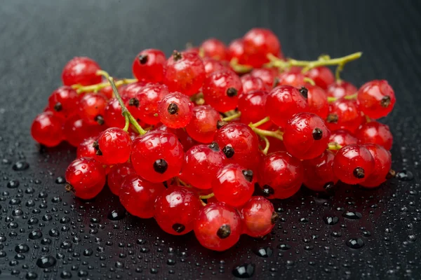 Ribes rosso con gocce d'acqua su fondo nero — Foto Stock