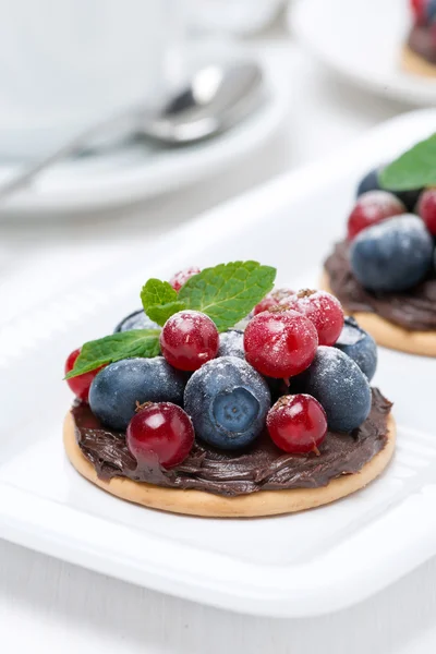 Mini prăjituri cu cremă de ciocolată și fructe de pădure proaspete — Fotografie, imagine de stoc