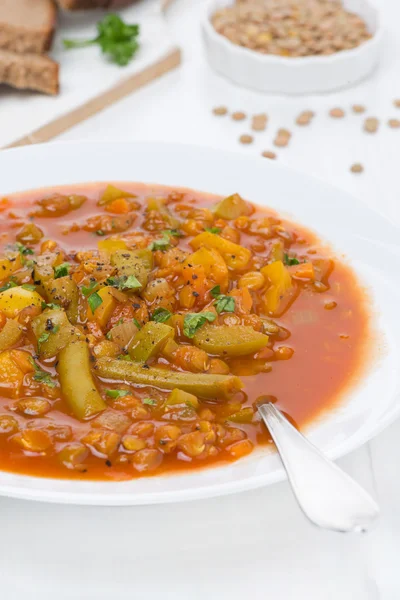 グリーン レンズ豆と野菜の皿とスパイシーなトマト スープ — ストック写真