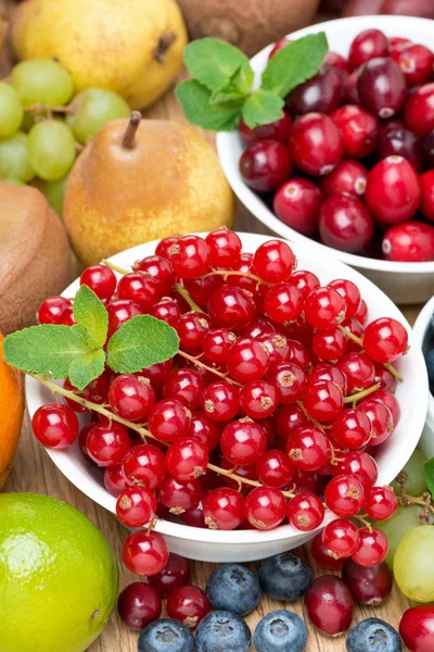 Groselha vermelha fresca, bagas e frutos — Fotografia de Stock