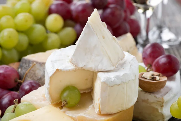 Camembert, different cheeses and grapes — Stock Photo, Image