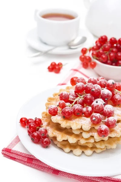 Stack of belgian waffles with red currants and powdered sugar — Stock Photo, Image