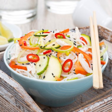 Tay salatası sebze, pirinç noodle ve tavuk, yakın çekim