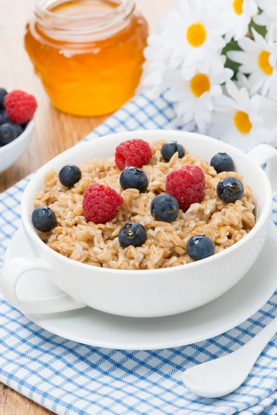 Oat porridge with berries, vertical — Stock Photo, Image