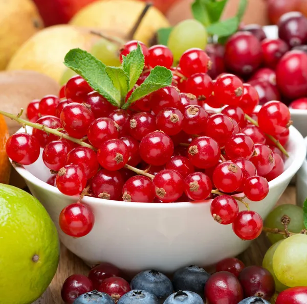Крупним планом різноманітні свіжі фрукти та ягоди — стокове фото