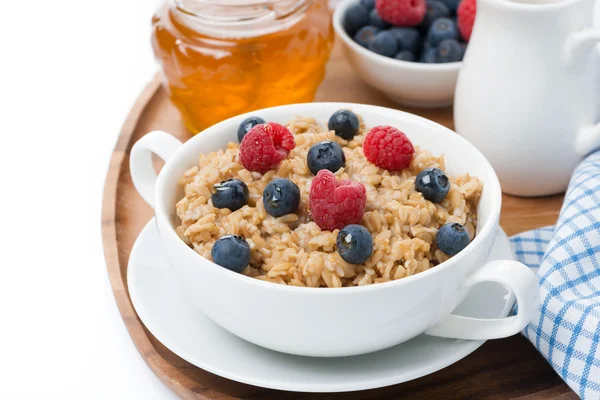Oat porridge with fresh berries and honey, close-up, isolated — Stock Photo, Image