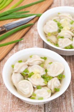 Chinese dumplings in chicken broth, vertical clipart