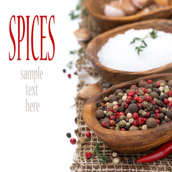 Hot pepper, sea salt and spices in bowls, isolated — Stock Photo, Image