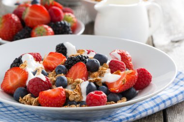 taze meyve, yoğurt ve ev yapımı müsli Kahvaltı