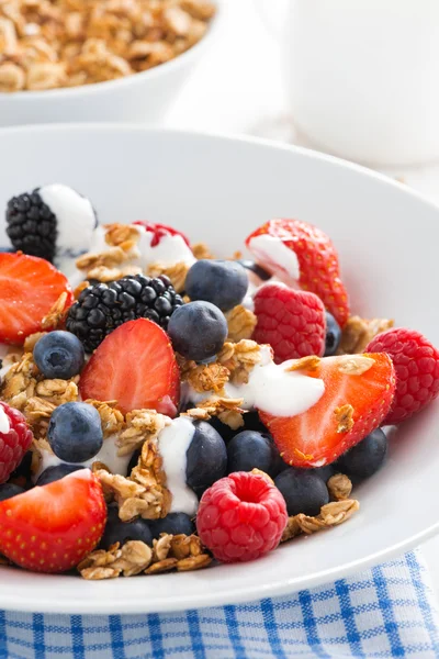Közelkép a friss bogyós gyümölcsök, joghurt, és házi granola — Stock Fotó