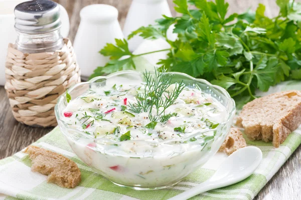 Sopa fría con verduras frescas y kéfir (okroshka) en un tazón —  Fotos de Stock