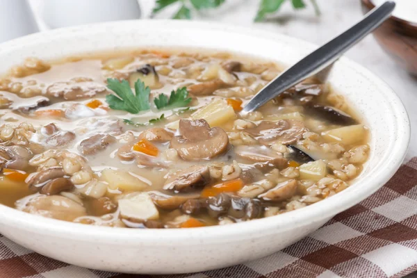 Грибной суп с жемчужным ячменем и сметаной — стоковое фото
