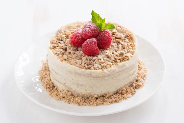Deliziosa torta con crema pasticcera e lampone — Foto Stock