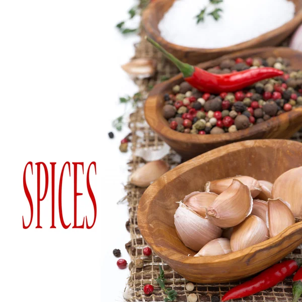 Garlic, hot pepper, sea salt and spices in wooden bowl, isolated — Stock Photo, Image