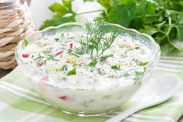 Kald suppe med friske grønnsaker og kefir (okroshka ) – stockfoto