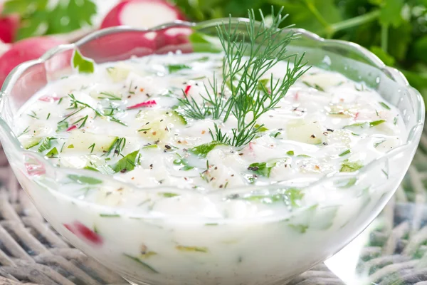 Sopa de legumes fria com Kefir (okroshka), close-up — Fotografia de Stock