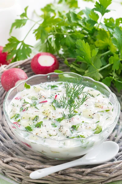 Supă rece de legume cu kefir (okroshka), verticală — Fotografie, imagine de stoc