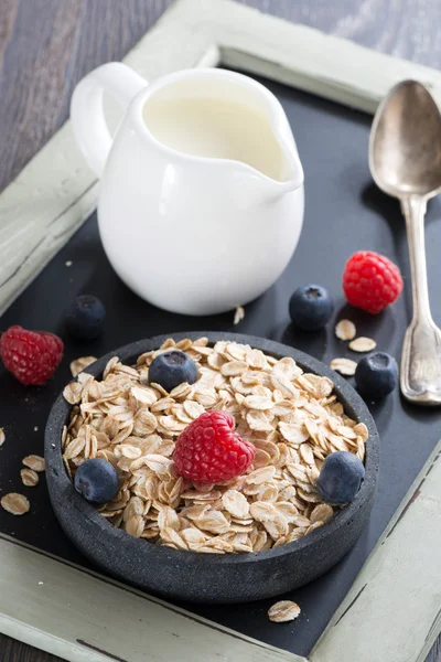Alimentos saludables - cereales, bayas frescas y jarra de leche, primer plano —  Fotos de Stock