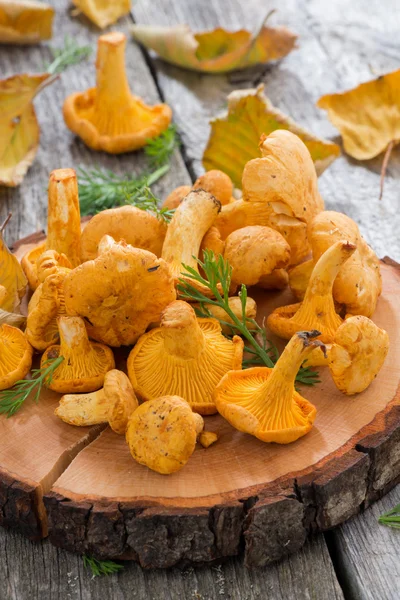 Свіжі гриби лисички на дерев'яному фоні, вертикальні — стокове фото