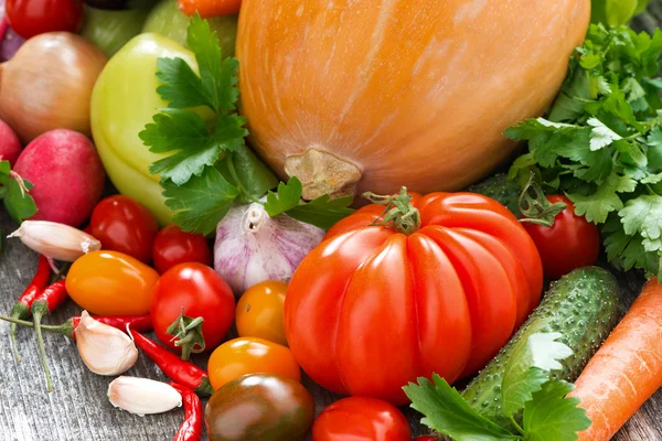 Cosecha de verduras frescas de temporada —  Fotos de Stock