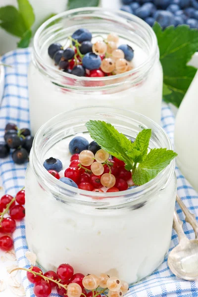Yogurt with berries, close-up — Stock Photo, Image