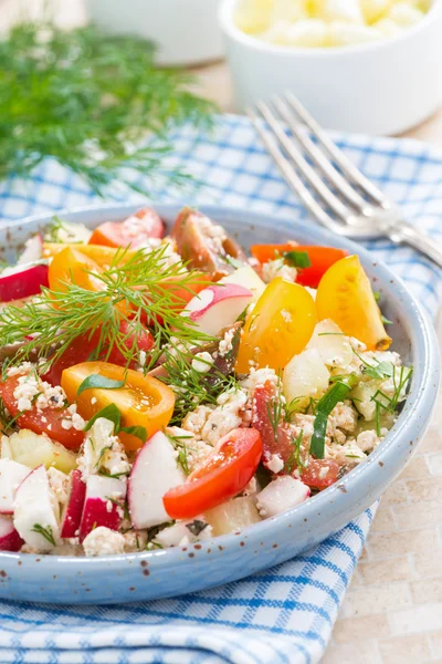 Dietetic food - fresh salad with vegetables and cottage cheese — Stock Photo, Image