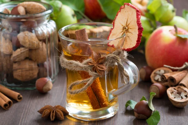 Appel cider met kruiden in glazen mok — Stockfoto