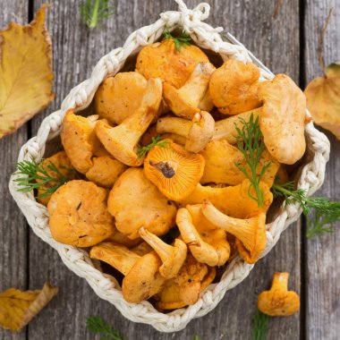 sepet ve chanterelles, üstten görünüm