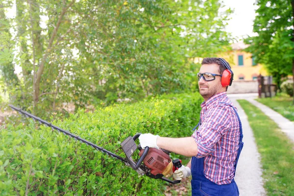 Een Tuinman Die Heg Vormt Met Behulp Van Heggenschaar — Stockfoto