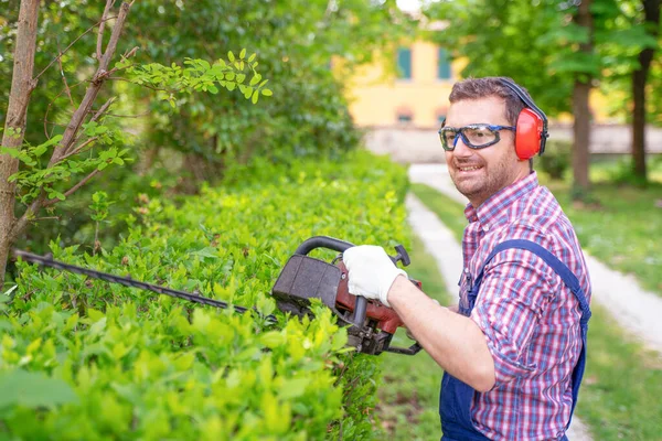 Een Man Die Tuin Werkt Struiken Vormt Met Een Heggenschaar — Stockfoto