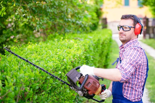 Een Man Die Tuin Werkt Struiken Vormt Met Een Heggenschaar — Stockfoto