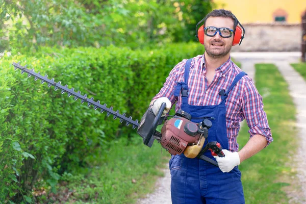 One Gardener Shaping Hedge Using Hedge Trimmer — Foto Stock