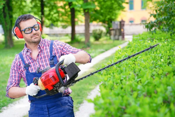Een Man Die Tuin Werkt Struiken Vormt Met Een Heggenschaar — Stockfoto