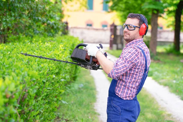 Een Tuinman Die Heg Vormt Met Behulp Van Heggenschaar — Stockfoto